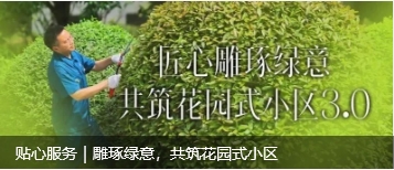 ΢�Ž�ͼ_20250616174100